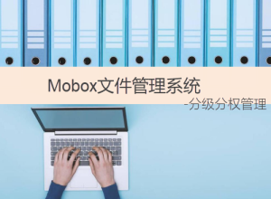 企業(yè)文件管理軟件-實現(xiàn)分級分權(quán)文檔安全管控