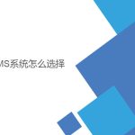 wms系統(tǒng)怎么選擇？