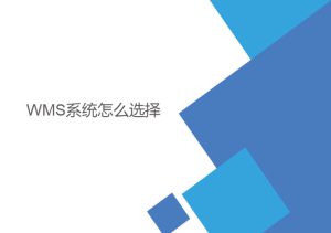 wms系統(tǒng)怎么選擇？